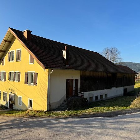 Chalet Cosy Lisiere De Foret Xonrupt-Longemer Luaran gambar