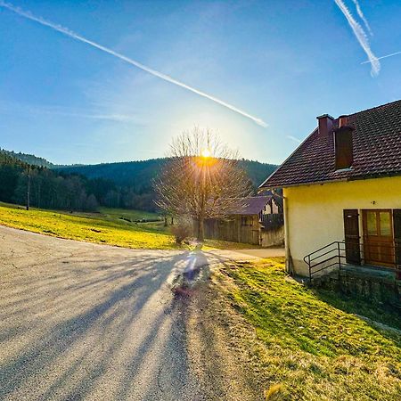 Chalet Cosy Lisiere De Foret Xonrupt-Longemer Luaran gambar