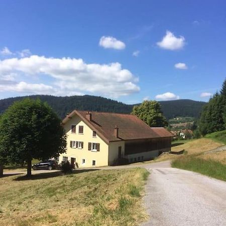 Chalet Cosy Lisiere De Foret Xonrupt-Longemer Luaran gambar