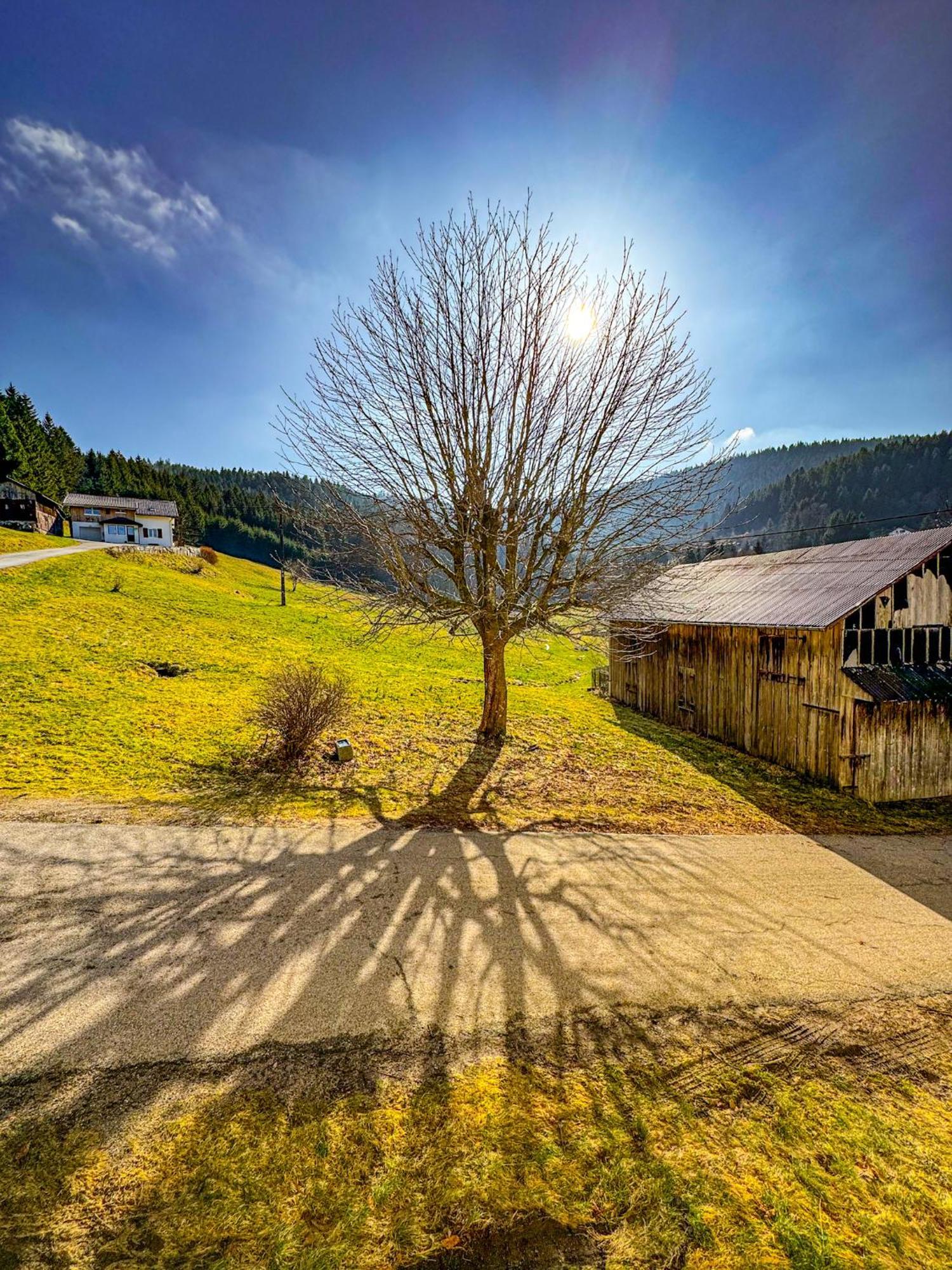 Chalet Cosy Lisiere De Foret Xonrupt-Longemer Luaran gambar