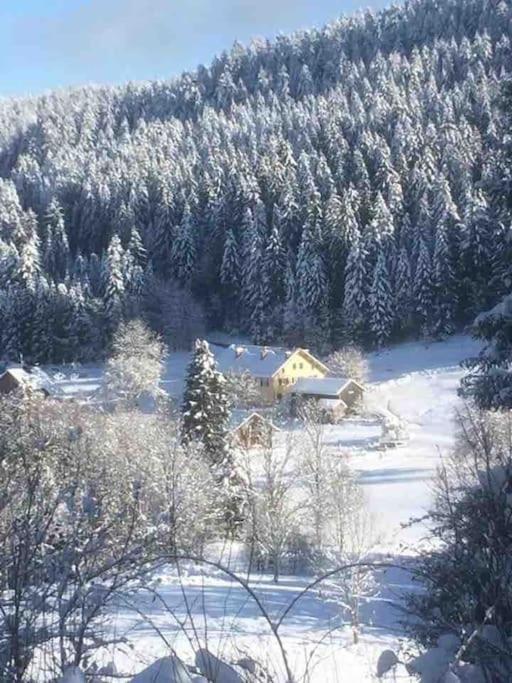Chalet Cosy Lisiere De Foret Xonrupt-Longemer Luaran gambar
