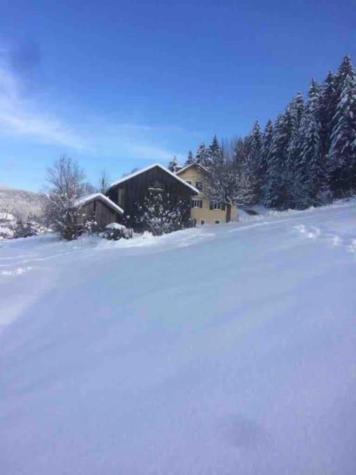 Chalet Cosy Lisiere De Foret Xonrupt-Longemer Luaran gambar